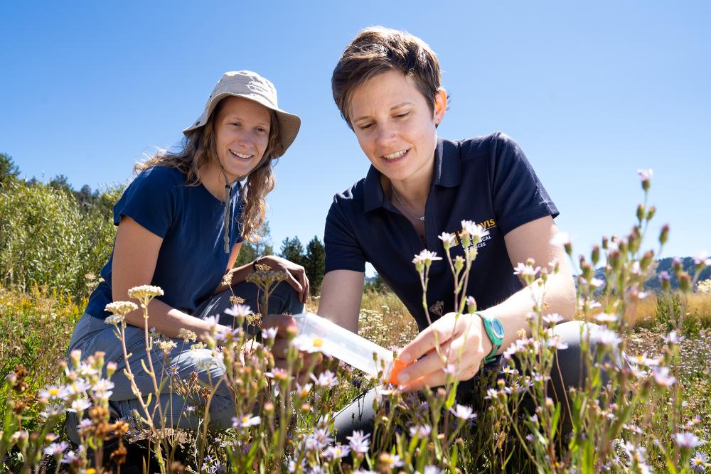 Two women in dark blue shirts kneeling in a meadow. One is holding a plastic tube while the other looks on.